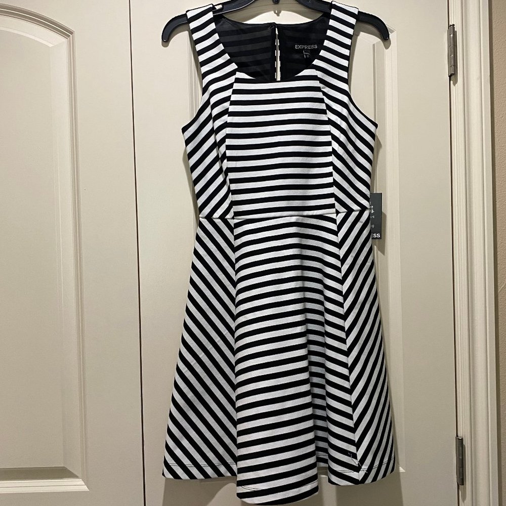 Express Black & White Striped Fit and Flare Dress